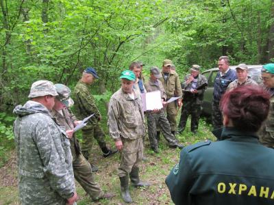 Шацкие леса подготовят к лесоустроительным работам